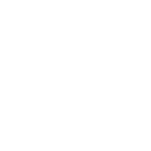 David Hirson & Partners, LLP | Full Service Immigration Law Firm