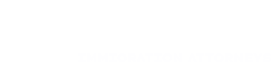 DH - David Hirson & Partners, LLP - Immigration Attorneys